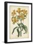 Botanical Display III-Vision Studio-Framed Art Print