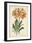 Botanical Display V-Vision Studio-Framed Art Print