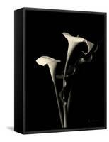 Botanical Elegance Calla III-Amy Melious-Framed Stretched Canvas