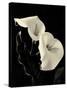 Botanical Elegance Calla IV-Amy Melious-Stretched Canvas