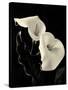 Botanical Elegance Calla IV-Amy Melious-Stretched Canvas