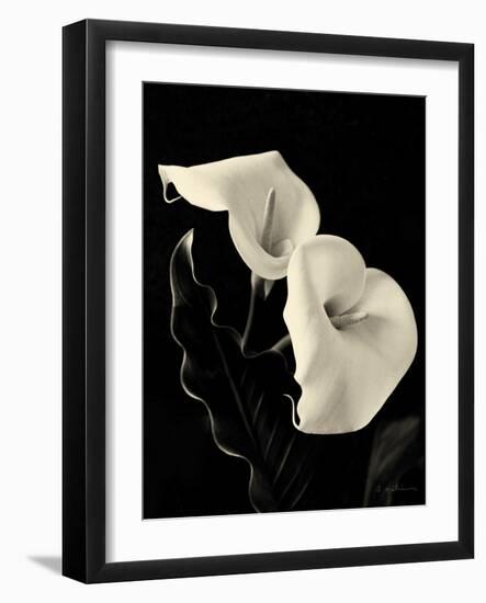 Botanical Elegance Calla IV-Amy Melious-Framed Art Print