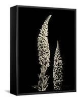 Botanical Elegance Foxglove-Amy Melious-Framed Stretched Canvas
