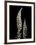 Botanical Elegance Foxglove-Amy Melious-Framed Art Print