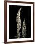 Botanical Elegance Foxglove-Amy Melious-Framed Art Print