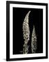 Botanical Elegance Foxglove-Amy Melious-Framed Art Print