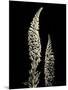 Botanical Elegance Foxglove-Amy Melious-Mounted Art Print