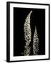 Botanical Elegance Foxglove-Amy Melious-Framed Art Print