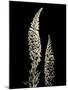 Botanical Elegance Foxglove-Amy Melious-Mounted Art Print