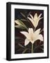 Botanical Elegance I-Yvette St^ Amant-Framed Giclee Print