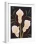 Botanical Elegance II-Yvette St^ Amant-Framed Giclee Print