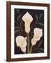 Botanical Elegance II-Yvette St^ Amant-Framed Giclee Print