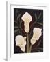 Botanical Elegance II-Yvette St^ Amant-Framed Giclee Print