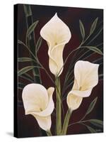 Botanical Elegance II-Yvette St^ Amant-Stretched Canvas