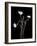 Botanical Elegance Poppies-Amy Melious-Framed Art Print