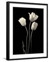 Botanical Elegance Tulips-Amy Melious-Framed Art Print