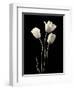 Botanical Elegance Tulips-Amy Melious-Framed Art Print