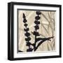 Botanical Elements 1-Melissa Pluch-Framed Art Print