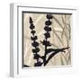 Botanical Elements 1-Melissa Pluch-Framed Art Print