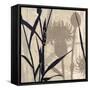 Botanical Elements 3-Melissa Pluch-Framed Stretched Canvas