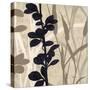 Botanical Elements 4-Melissa Pluch-Stretched Canvas