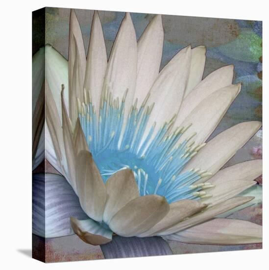 Botanical Elements IV-Ricki Mountain-Stretched Canvas