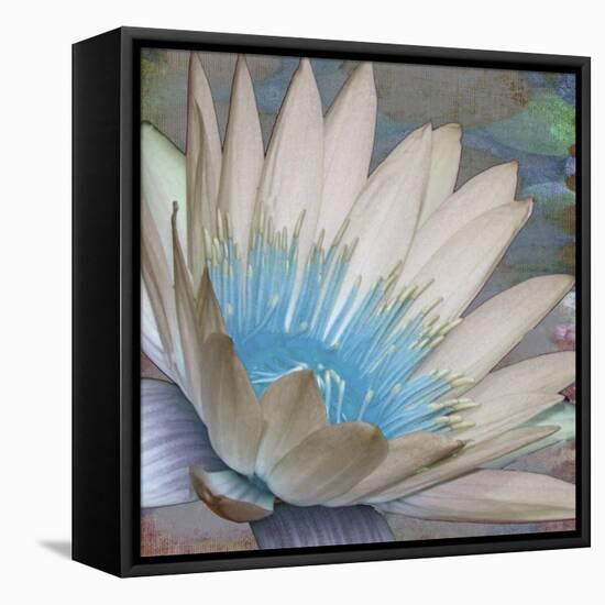 Botanical Elements IV-Ricki Mountain-Framed Stretched Canvas