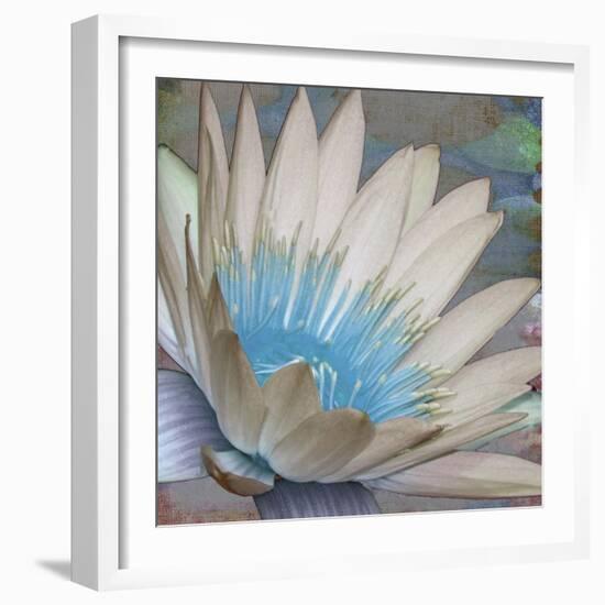 Botanical Elements IV-Ricki Mountain-Framed Art Print