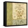 Botanical Exhibit I-Lisa Audit-Framed Stretched Canvas