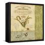 Botanical Exhibit II-Lisa Audit-Framed Stretched Canvas