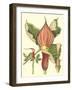 Botanical Fantasy I-null-Framed Art Print