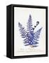 Botanical Fern IV Blue Light-Wild Apple Portfolio-Framed Stretched Canvas