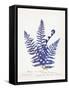 Botanical Fern IV Blue Light-Wild Apple Portfolio-Framed Stretched Canvas