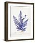 Botanical Fern IV Blue Light-Wild Apple Portfolio-Framed Art Print