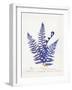 Botanical Fern IV Blue Light-Wild Apple Portfolio-Framed Art Print