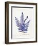 Botanical Fern IV Blue Light-Wild Apple Portfolio-Framed Art Print