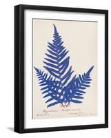 Botanical Fern XI Blue-Wild Apple Portfolio-Framed Art Print
