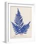Botanical Fern XI Blue-Wild Apple Portfolio-Framed Art Print