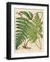 Botanical Ferns I-N. Harbick-Framed Art Print