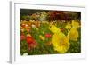 Botanical Garden at Queens Park, Invercargill, Southland, New Zealand-David Wall-Framed Photographic Print