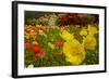 Botanical Garden at Queens Park, Invercargill, Southland, New Zealand-David Wall-Framed Photographic Print