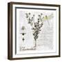 Botanical Garden Chamomile Herb-Tina Lavoie-Framed Giclee Print
