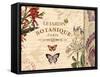 Botanical Garden II-Piper Ballantyne-Framed Stretched Canvas