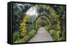 Botanical Garden in Singapore-Yury Zap-Framed Stretched Canvas