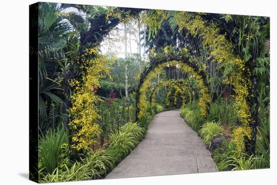 Botanical Garden in Singapore-Yury Zap-Stretched Canvas