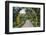 Botanical Garden in Singapore-Yury Zap-Framed Photographic Print