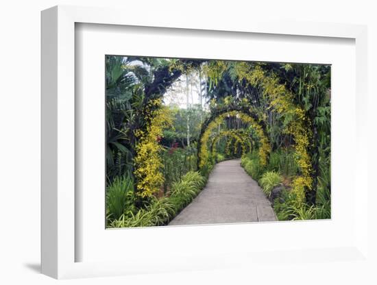 Botanical Garden in Singapore-Yury Zap-Framed Photographic Print