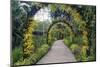 Botanical Garden in Singapore-Yury Zap-Mounted Photographic Print