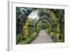 Botanical Garden in Singapore-Yury Zap-Framed Photographic Print