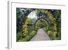 Botanical Garden in Singapore-Yury Zap-Framed Photographic Print